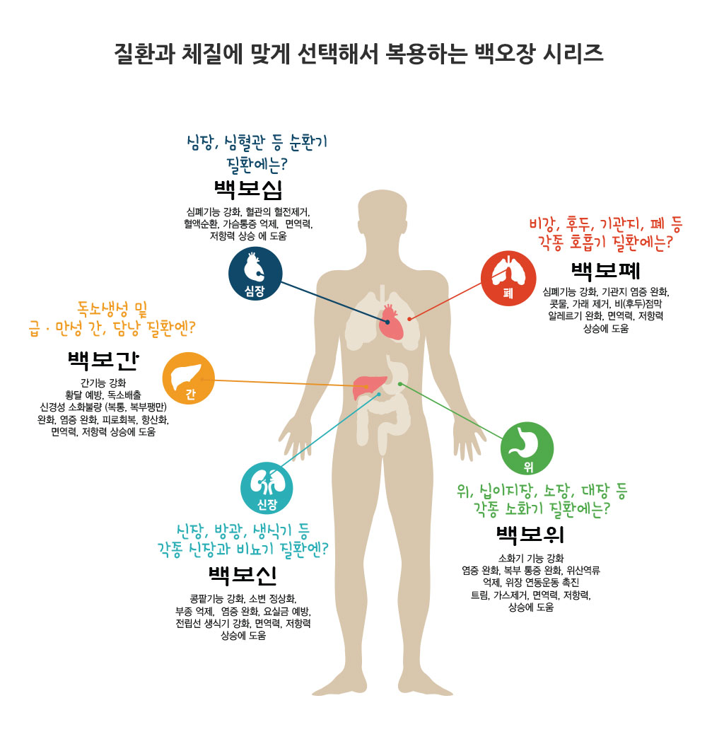 한국한의원, 백오장, 오장, 백보폐,백보위,백보신,백보심,백보간